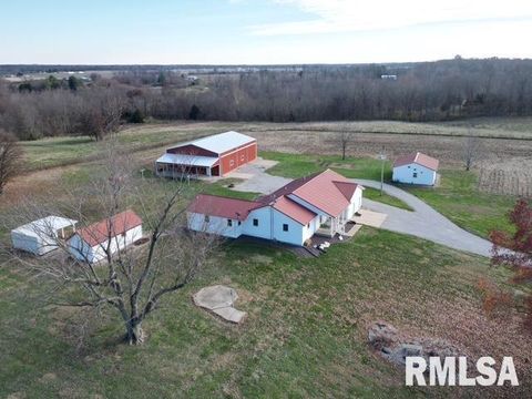 Tiny photo for 4786 KELLER Road, Iuka, IL 62849 (MLS # EB460665)