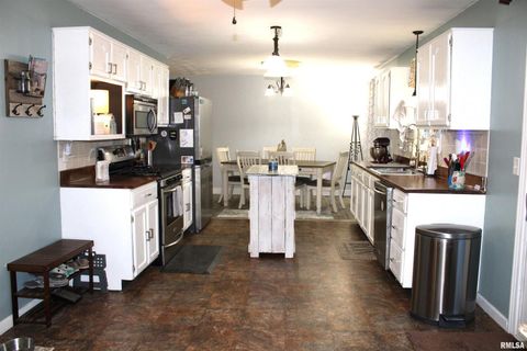 Tiny photo for 4786 KELLER Road, Iuka, IL 62849 (MLS # EB460665)