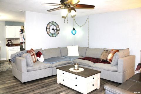 Tiny photo for 4786 KELLER Road, Iuka, IL 62849 (MLS # EB460665)