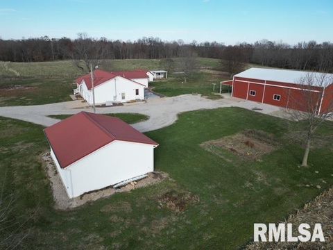 Tiny photo for 4786 KELLER Road, Iuka, IL 62849 (MLS # EB460665)