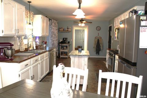 Tiny photo for 4786 KELLER Road, Iuka, IL 62849 (MLS # EB460665)