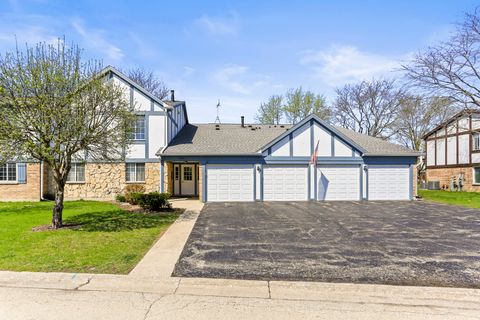 1236 Williamsport Drive 3 Westmont IL 60559
