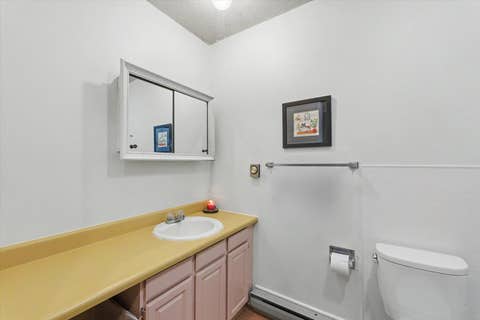 Tiny photo for 507 E Larmon Street, Tolono, IL 61880 (MLS # 12670121)