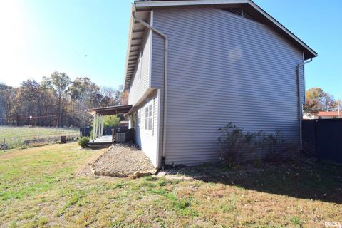 Tiny photo for 4419 Woodglen Lane, Mt Vernon, IL 62864 (MLS # EB460452)