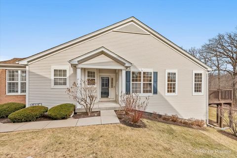 Tiny photo for 47 Regent Drive, Gilberts, IL 60136 (MLS # 12572486)