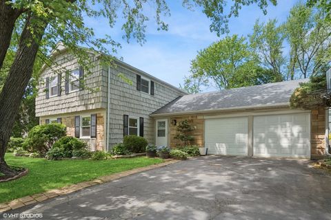 1130 Bernard Drive Buffalo Grove IL 60089