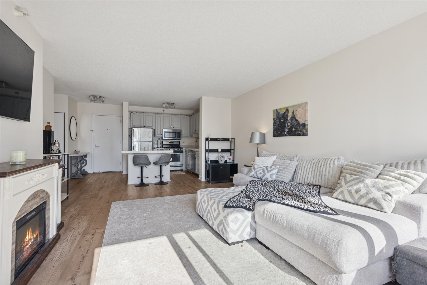 545 N Dearborn Street 3206