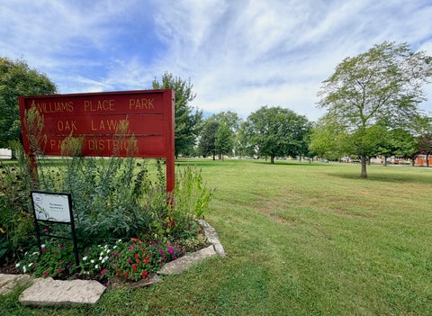 Tiny photo for 4600 W 101st Street, Oak Lawn, IL 60453 (MLS # 12775751)