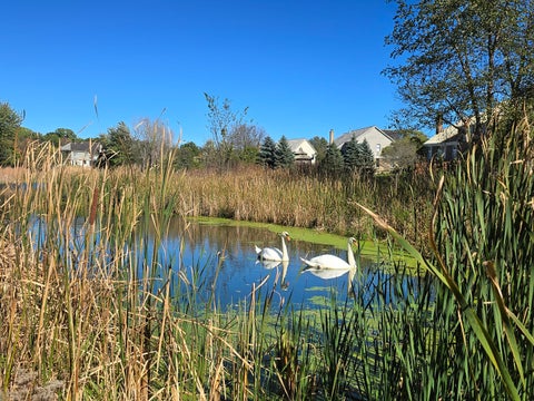 Tiny photo for 31111 N O'plaine Road, Green Oaks, IL 60048 (MLS # 12788754)