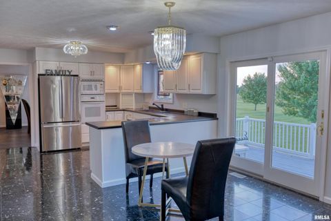 Tiny photo for 6381 Tyner Lane, Marion, IL 62901 (MLS # QC4269511)