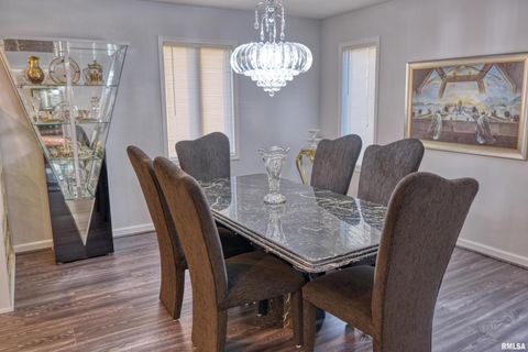 Tiny photo for 6381 Tyner Lane, Marion, IL 62901 (MLS # QC4269511)