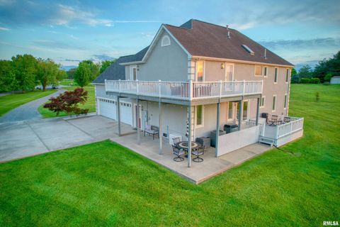 Tiny photo for 6381 Tyner Lane, Marion, IL 62901 (MLS # QC4269511)