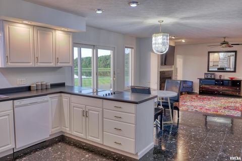 Tiny photo for 6381 Tyner Lane, Marion, IL 62901 (MLS # QC4269511)