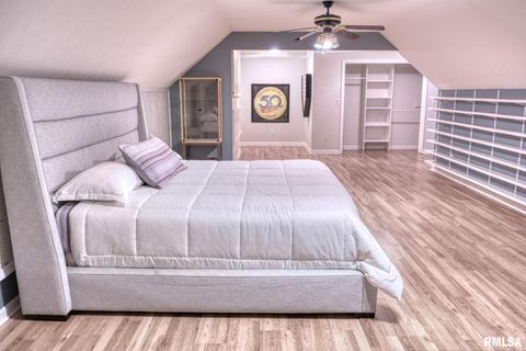 Tiny photo for 6381 Tyner Lane, Marion, IL 62901 (MLS # QC4269511)