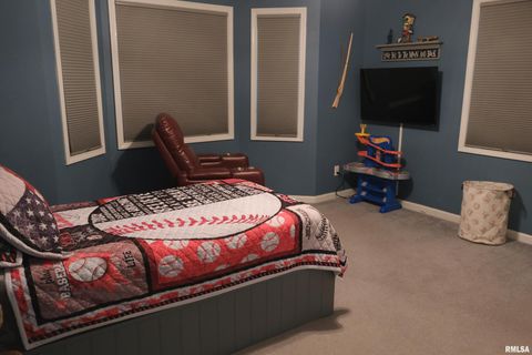 Tiny photo for 6381 Tyner Lane, Marion, IL 62901 (MLS # QC4269511)