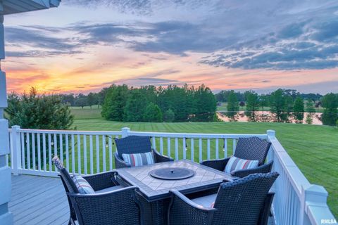 Tiny photo for 6381 Tyner Lane, Marion, IL 62901 (MLS # QC4269511)