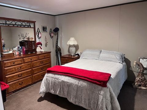 Tiny photo for 344 Seba Street, Hurst, IL 62949 (MLS # 12603670)