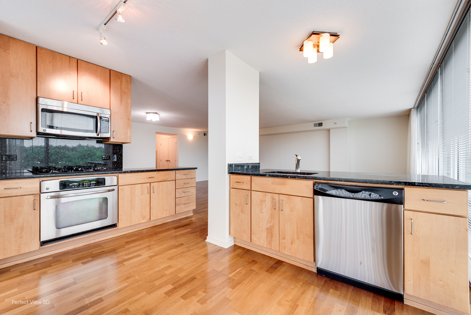 9725 Woods Drive 802