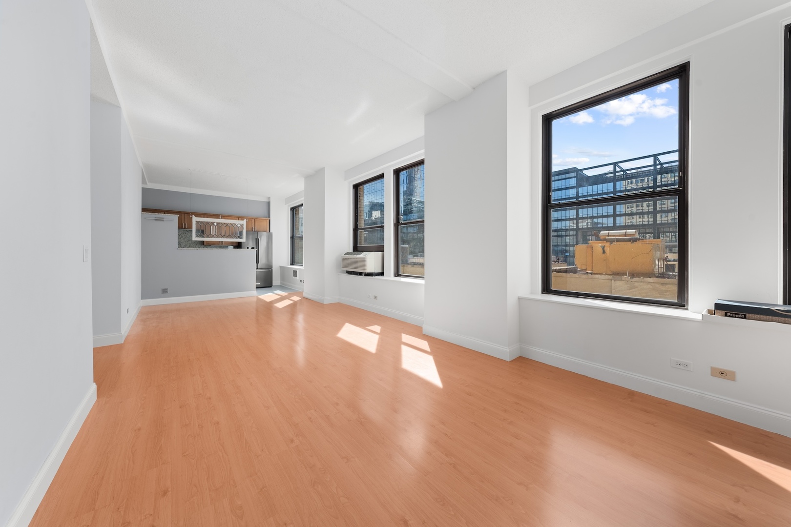 600 S Dearborn Street 1007