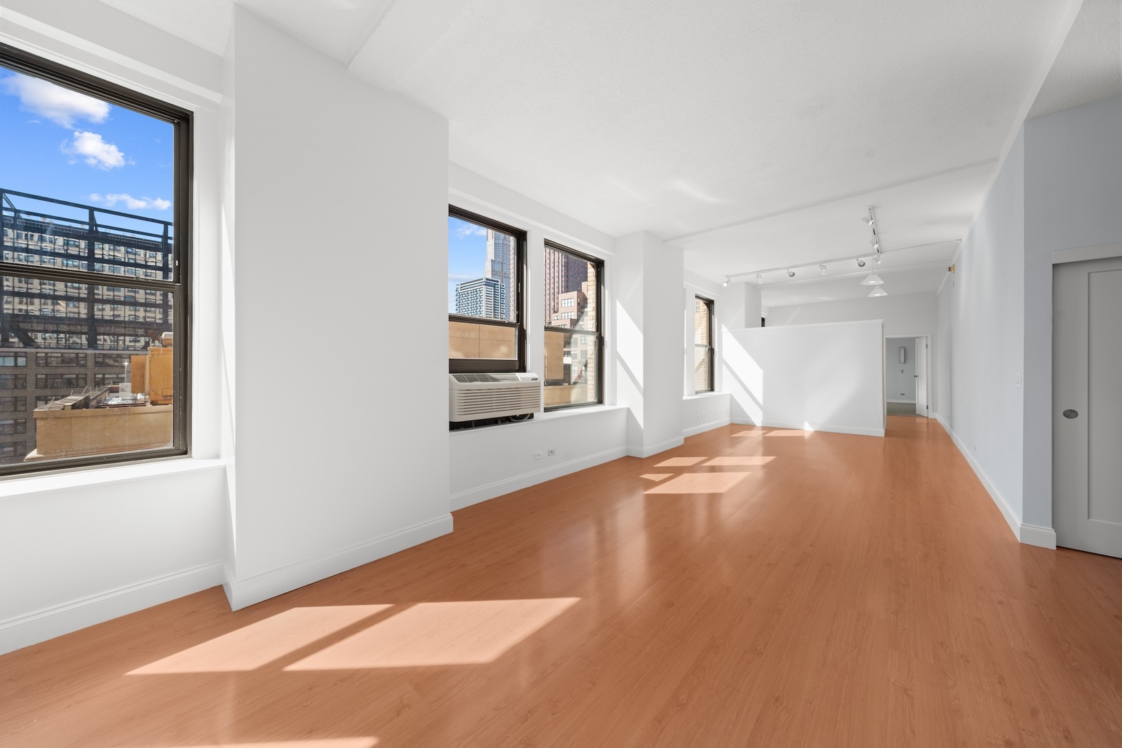 600 S Dearborn Street 1007
