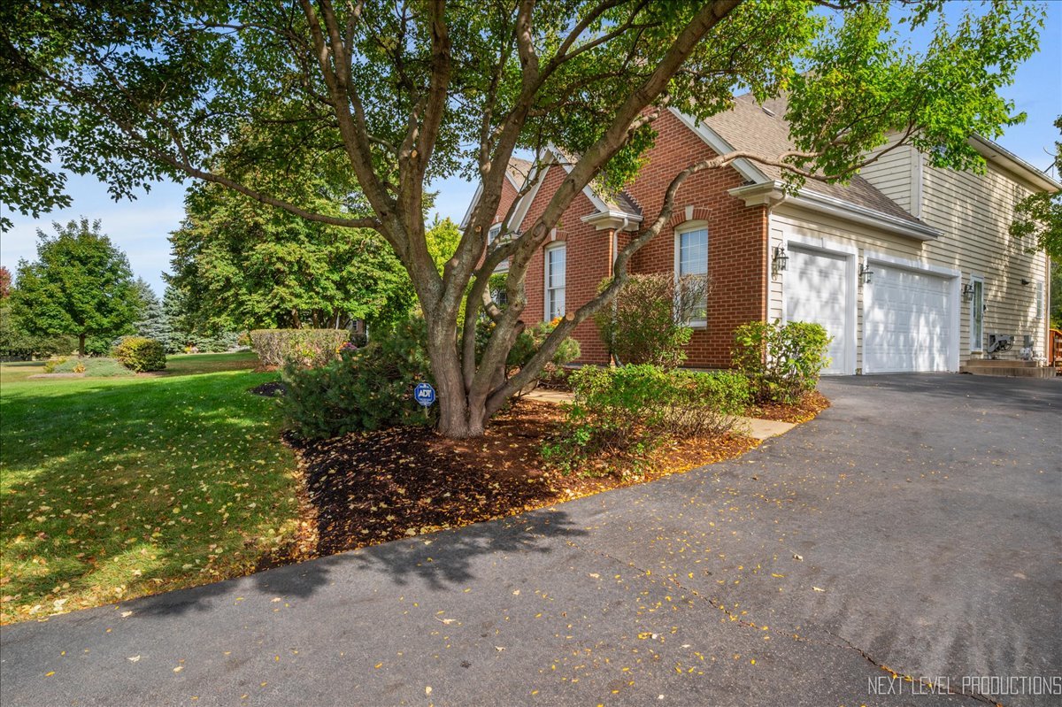 7N919 Cloverfield Road
