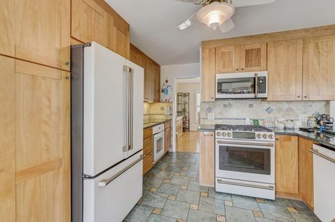 Tiny photo for 47 S JOSEPHINE Court, Des Plaines, IL 60016 (MLS # 12535052)