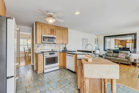 Tiny photo for 47 S JOSEPHINE Court, Des Plaines, IL 60016 (MLS # 12535052)