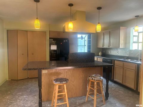 Tiny photo for 138 Worthen Road, Murphysboro, IL 62966 (MLS # EB460379)