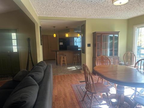 Tiny photo for 138 Worthen Road, Murphysboro, IL 62966 (MLS # EB460379)