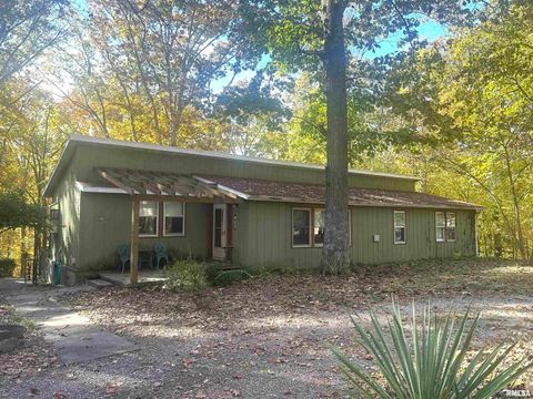 Photo of 138 Worthen Road, Murphysboro, IL 62966 (MLS # EB460379)