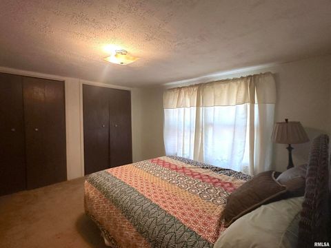 Tiny photo for 138 Worthen Road, Murphysboro, IL 62966 (MLS # EB460379)