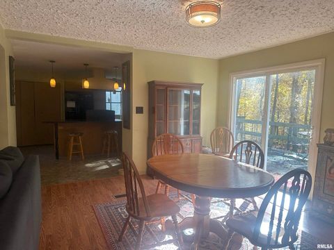 Tiny photo for 138 Worthen Road, Murphysboro, IL 62966 (MLS # EB460379)