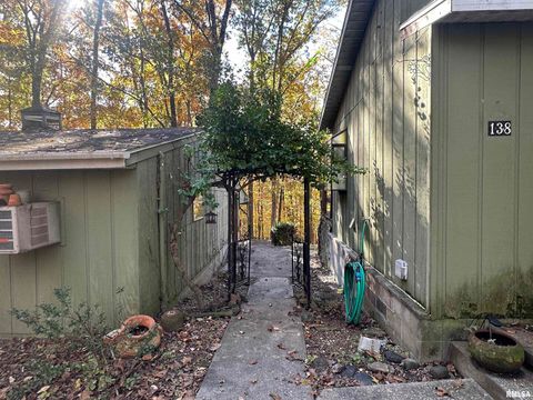 Tiny photo for 138 Worthen Road, Murphysboro, IL 62966 (MLS # EB460379)