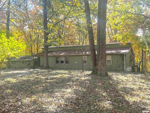 Tiny photo for 138 Worthen Road, Murphysboro, IL 62966 (MLS # EB460379)
