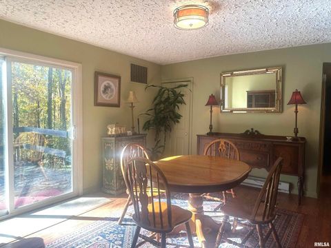 Tiny photo for 138 Worthen Road, Murphysboro, IL 62966 (MLS # EB460379)