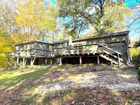 Tiny photo for 138 Worthen Road, Murphysboro, IL 62966 (MLS # EB460379)