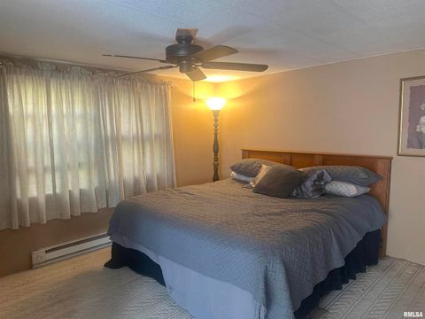 Tiny photo for 138 Worthen Road, Murphysboro, IL 62966 (MLS # EB460379)