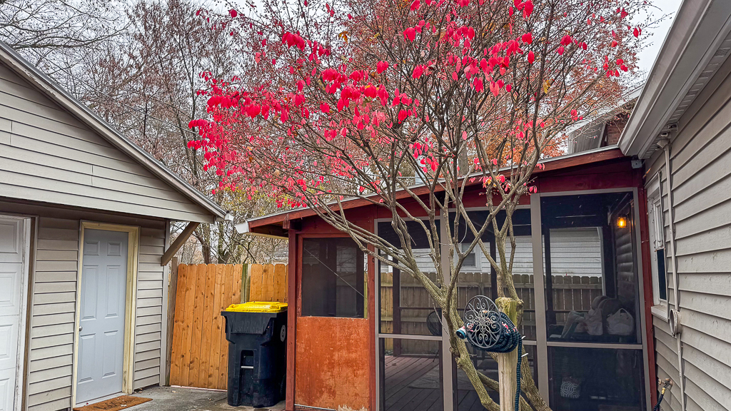 Normal, Illinois 61761, United States, 2 Bedrooms Bedrooms, ,1 BathroomBathrooms,Residential,Active,247546