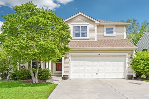 218 Cool Stone Bend Lake In The Hills IL 60156