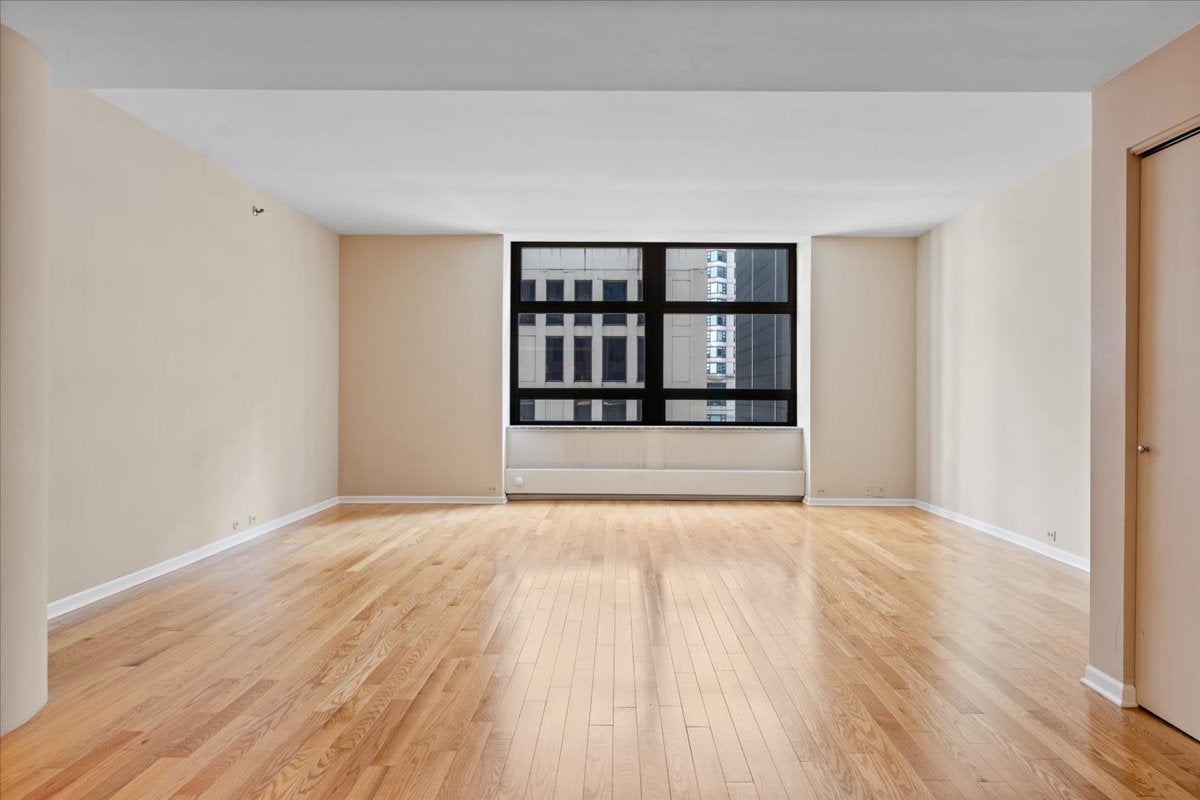 680 N Lake Shore Drive 313