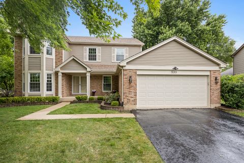 Photo of 533 Springwood Lane, Bolingbrook, IL 60440 (MLS # 12669752)