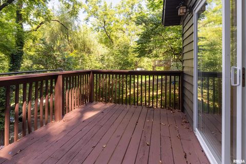 Tiny photo for 270 Contentment Road, Makanda, IL 62958 (MLS # EB459316)