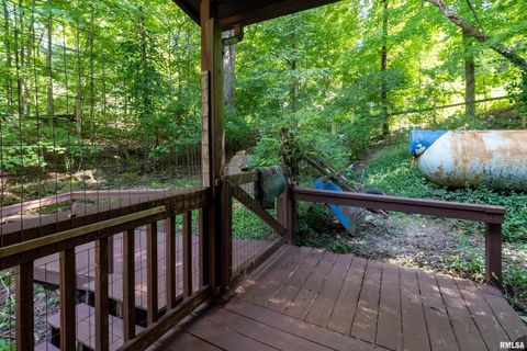 Tiny photo for 270 Contentment Road, Makanda, IL 62958 (MLS # EB459316)