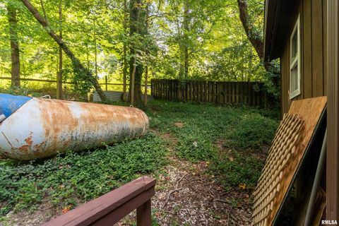 Tiny photo for 270 Contentment Road, Makanda, IL 62958 (MLS # EB459316)