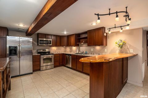 Tiny photo for 270 Contentment Road, Makanda, IL 62958 (MLS # EB459316)