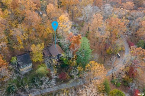 Tiny photo for 270 Contentment Road, Makanda, IL 62958 (MLS # EB459316)