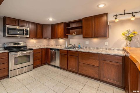 Tiny photo for 270 Contentment Road, Makanda, IL 62958 (MLS # EB459316)