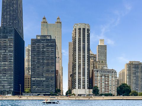 990 N Lake Shore Drive 25A Chicago IL 60611