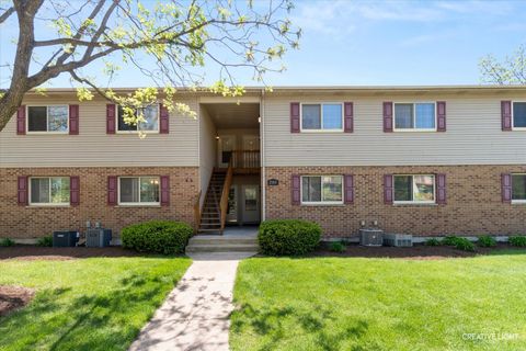 Photo of 295 Woodridge Circle #D, South Elgin, IL 60177 (MLS # 12647134)