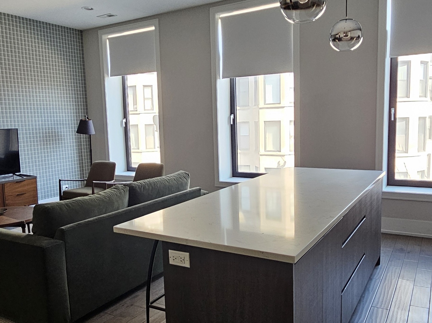 318 S Halsted Street 303